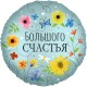13408 Шар Круг, Большого Счастья (цветы)