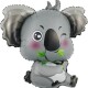 15575 Шар Фигура, Коала
