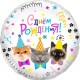Шар Круг, Котики, С Днем Рождения