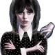 23501 Шар Фигура, Мрачная стори, Уэнсдей