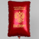 паспорт 53 см - 560